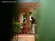 There. Got them on camera from behind the bushes.