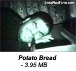 Our Daily Bread.
