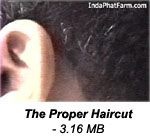 The proper haircut according to one, Paul Moses.